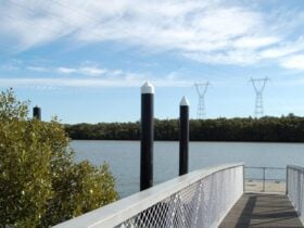 Riverside Park, Hunter Wetlands National Park. Photo: Susan Davis/NSW Government