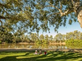 A family sitting on the grass under a shady tree along the sandy banks of the river