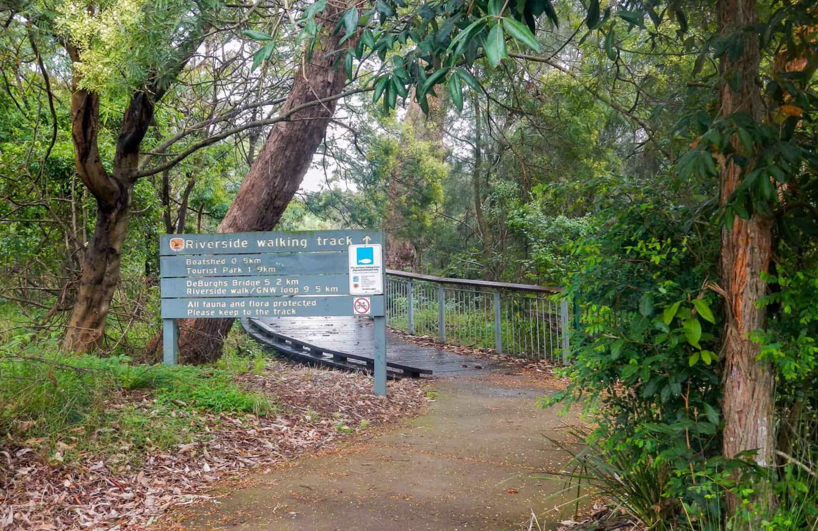 Riverside walking track, Lane Cove National Park. Photo: Debbie McGerty