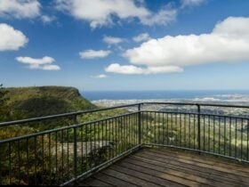 Platform, Illawarra Escarpment State Conservation Area. Photo: John Spencer