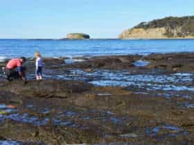 Rock Platform, Depot Beach, Murramurang National Park. Photo: OEH