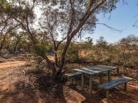Rustic picnic table set beneath trees, surrounded by a patchwork of scrubland. Image credit: John