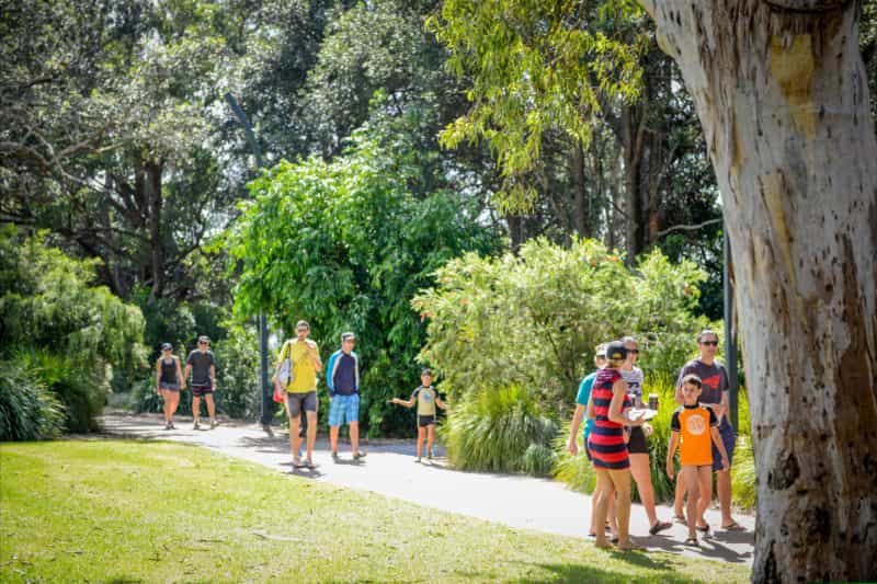 Families walking along the track of the white sands walk, surrounded by trees