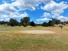Royale Jugiong golf course