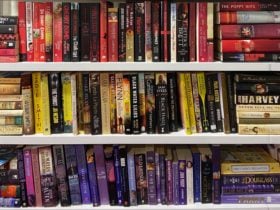 Bookshelf displaying books by colour.