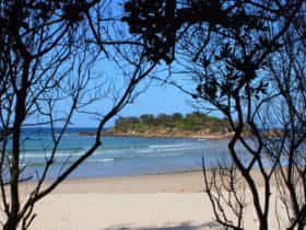 Plover Island. Sandon.