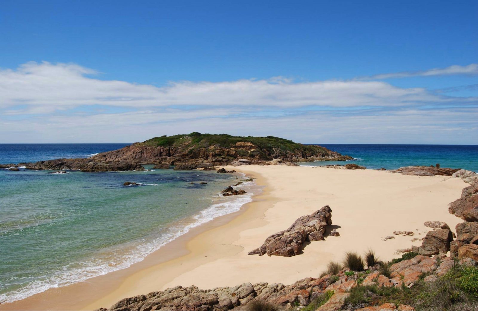 Sandy Creek loop track, Bournda National Park. Photo: BECC/NSW Government
