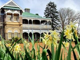 Front facade of Homestead