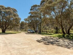 Sawpit Creek picnic area, Kosciuszko National Park. Photo: Murray Vanderveer © OEH