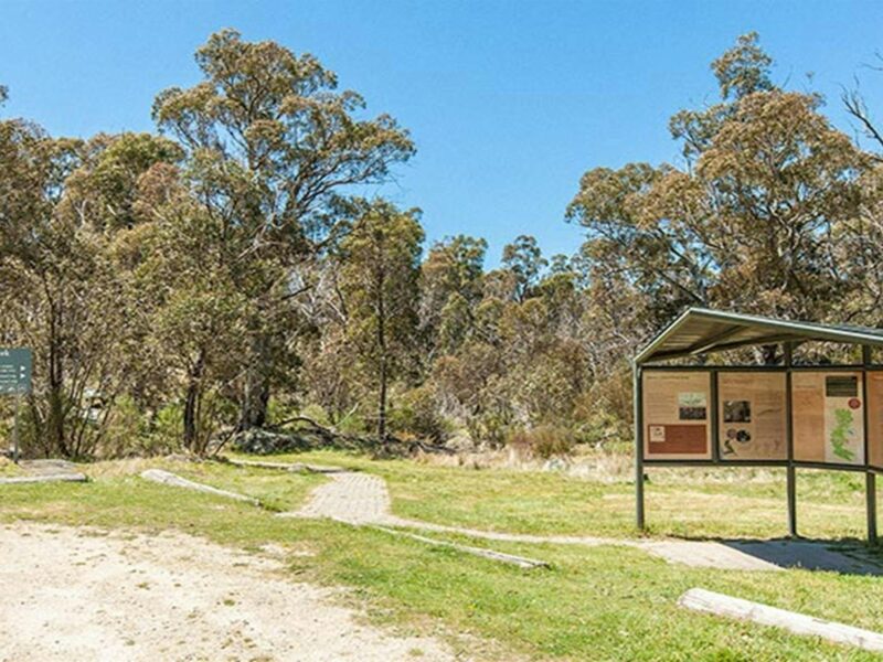 Sawpit Creek picnic area, Kosciuszko National Park. Photo: Murray Vanderveer © OEH