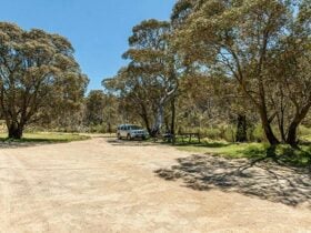 Sawpit Creek picnic area, Kosciuszko National Park. Photo: Murray Vanderveer © OEH