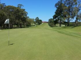 On the fairway