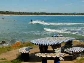 Scotts Head Beach