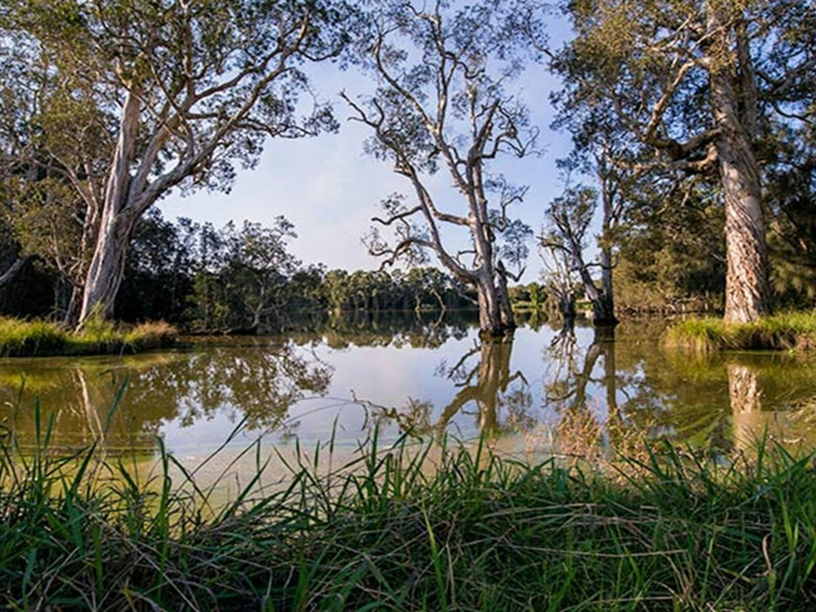 Seaham Swamp Nature Reserve. Photo: John Spencer © DPIE