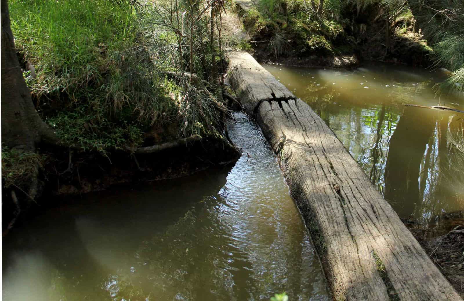Second Ponds Creek Walk, Rouse Hill Regional Park. Photo: John Yurasek