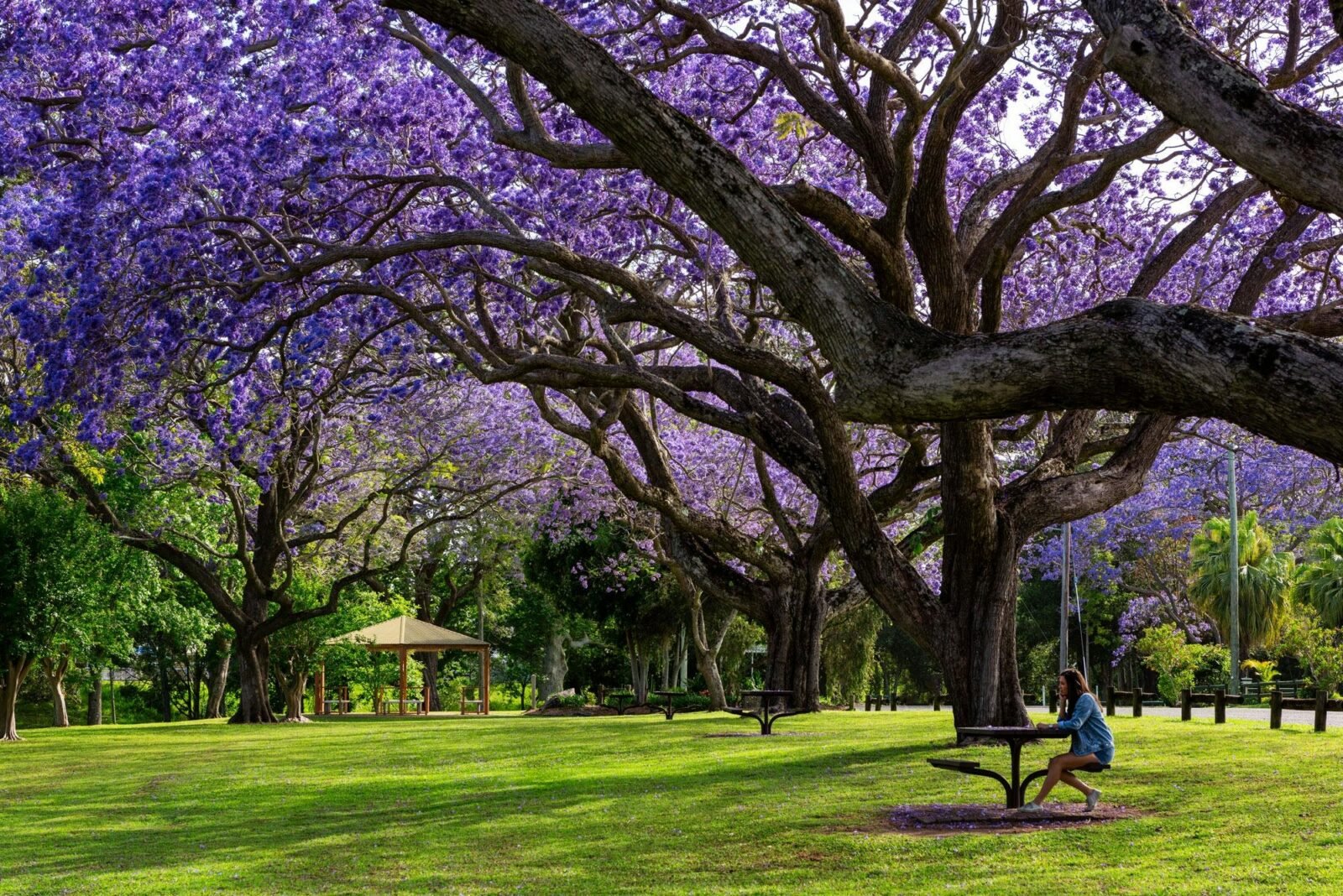See Park