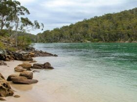 Severs Beach, Beowa National Park. Photo: John Yurasek © OEH
