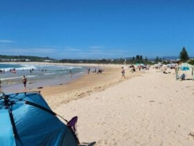 View of beach with people swimming and beach tents