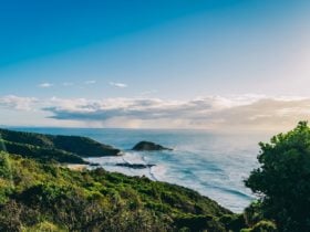 Smoky Cape Walking Track