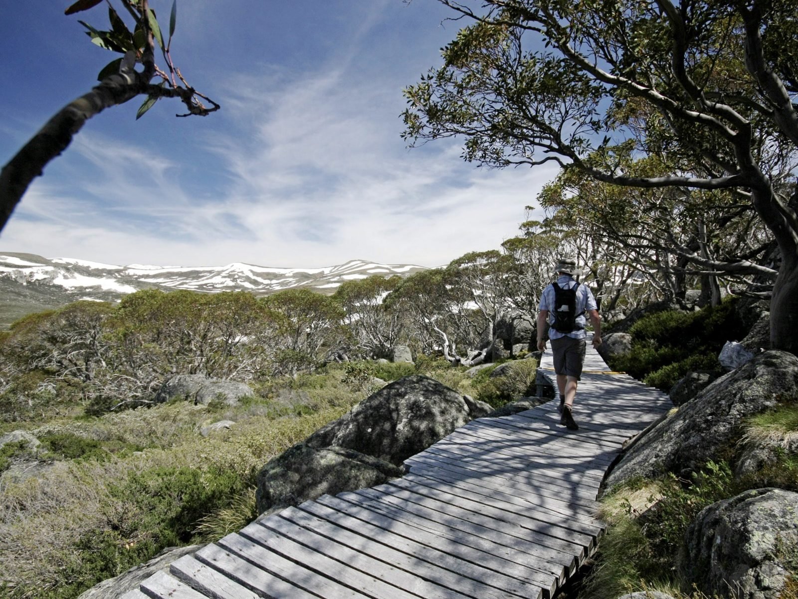 Snow Gums boardwalk, Kosciuszko National Park
