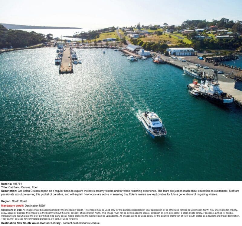 Snug Cove, Eden, Twofold Bay, whale watching cruise, Sapphire Coast