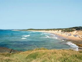 Coastal Beach with sand and sea