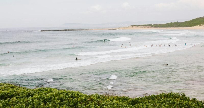 ocean with people swimming and surfing