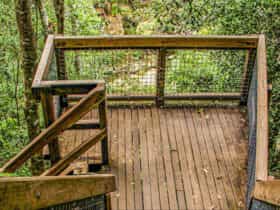 Somersby Falls walking track