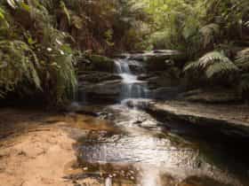 South Lawson Waterfall Circuit