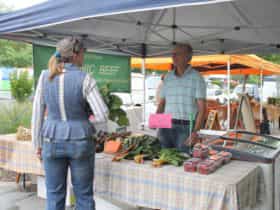 Southern Harvest Farmers Market, Queanbeyan