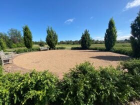 Oak Rondel