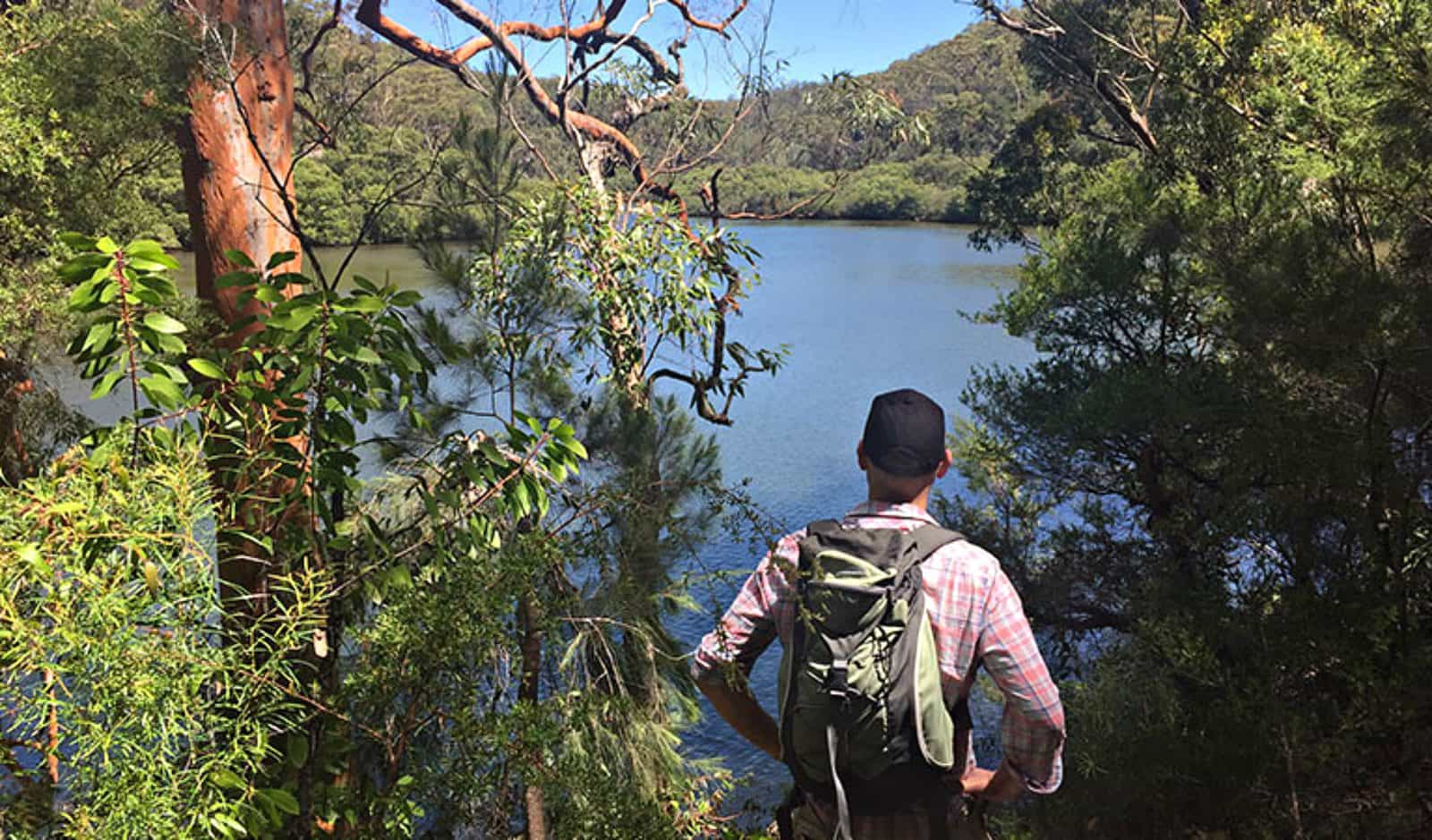Views of Cowan Creek from the Sphinx Memorial to Bobbin Head loop track. Photo: Natasha Webb/OEH
