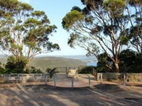 Staples lookout, Brisbane Water National Park. Photo: John Yurasek/NSW Government