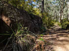 Starlight's trail, Nattai National Park. Photo: John Spencer/NSW Government
