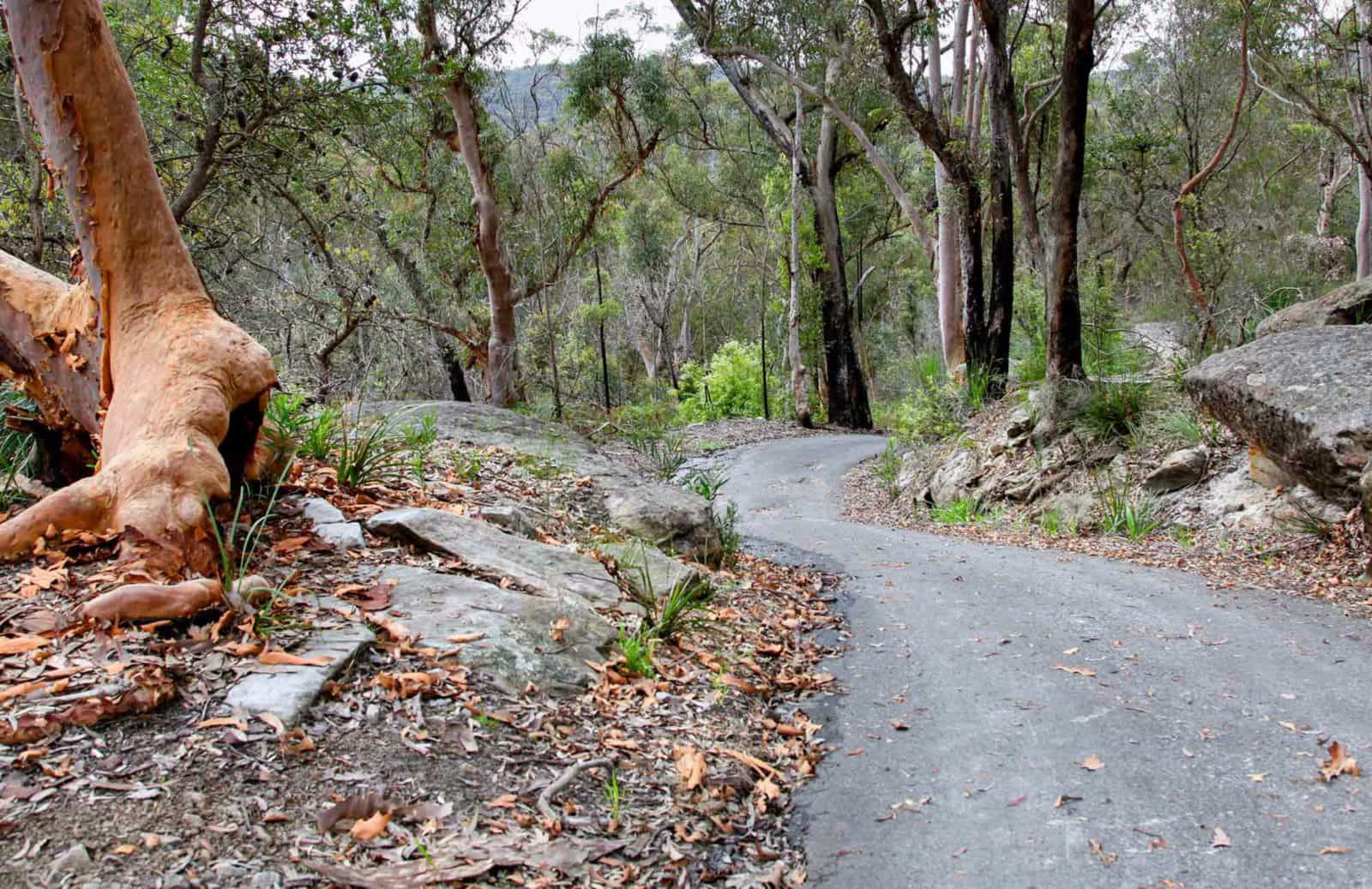 Stepping Stone Crossing to Cascades trail, Garigal National Park. Photo: Shaun Sursok