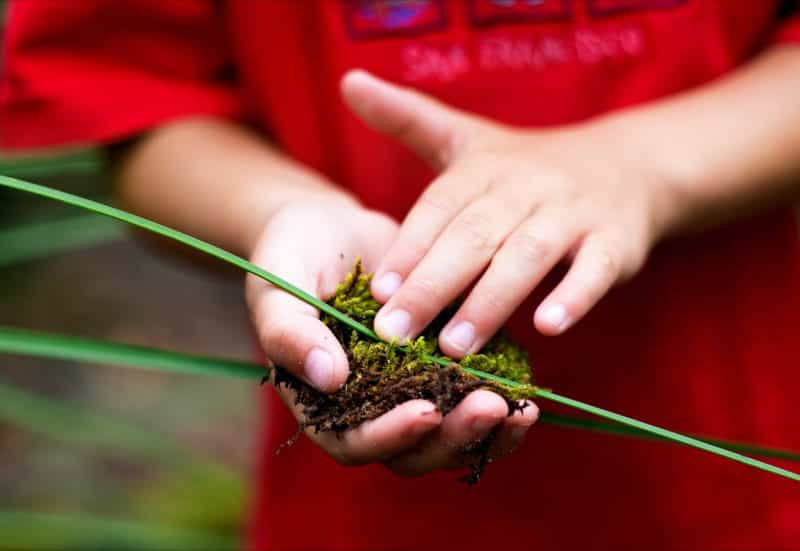 Strickland is a place of ecological delight