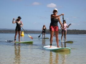 Stand up paddle