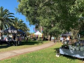 Photograph of multiple stalls in Bicentennial Park