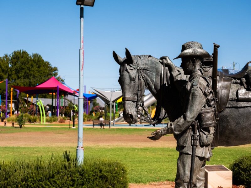Photo of waler horse memorial