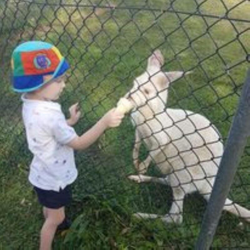 Boy and White Joey