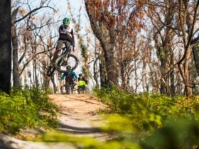 Tathra mountain bike trails, Sapphire Coast NSW
