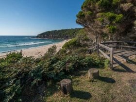 Terrace Beach and Lennards Island, Beowa National Park. Photo: John Spencer © OEH