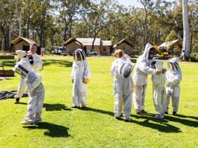 The Apiary Bay and Bush Honey Producers Beekeeping Tasting