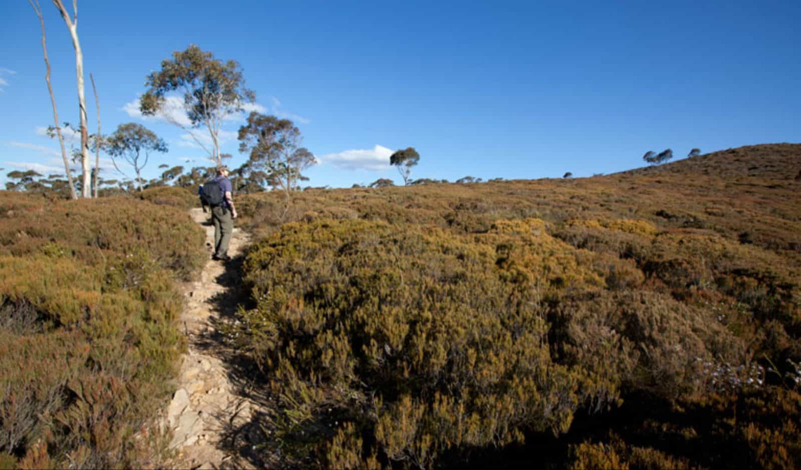 The Big Hole walking track