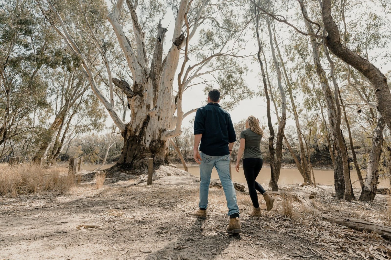 couple walking towards the big tree