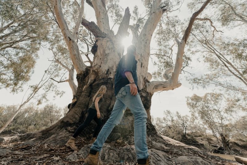 Couple walking around the Big Tree Moulamein