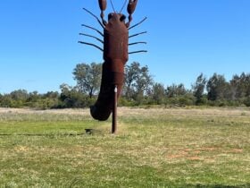 The Big Yabby - permission to use