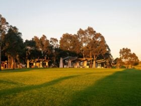 The Dairy