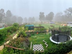 The Davis Farm