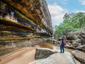 The Drip walking track